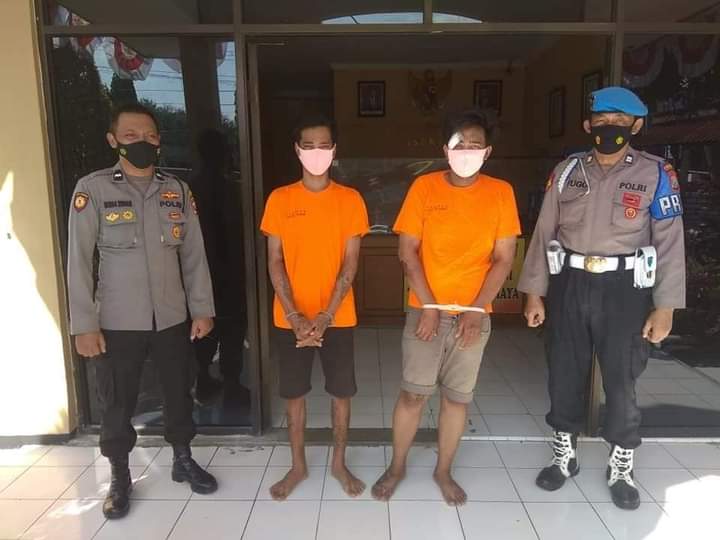 Curi 9 Burung, Dua Pemuda Surabaya Meringkuk Dibui Polisi Gresik