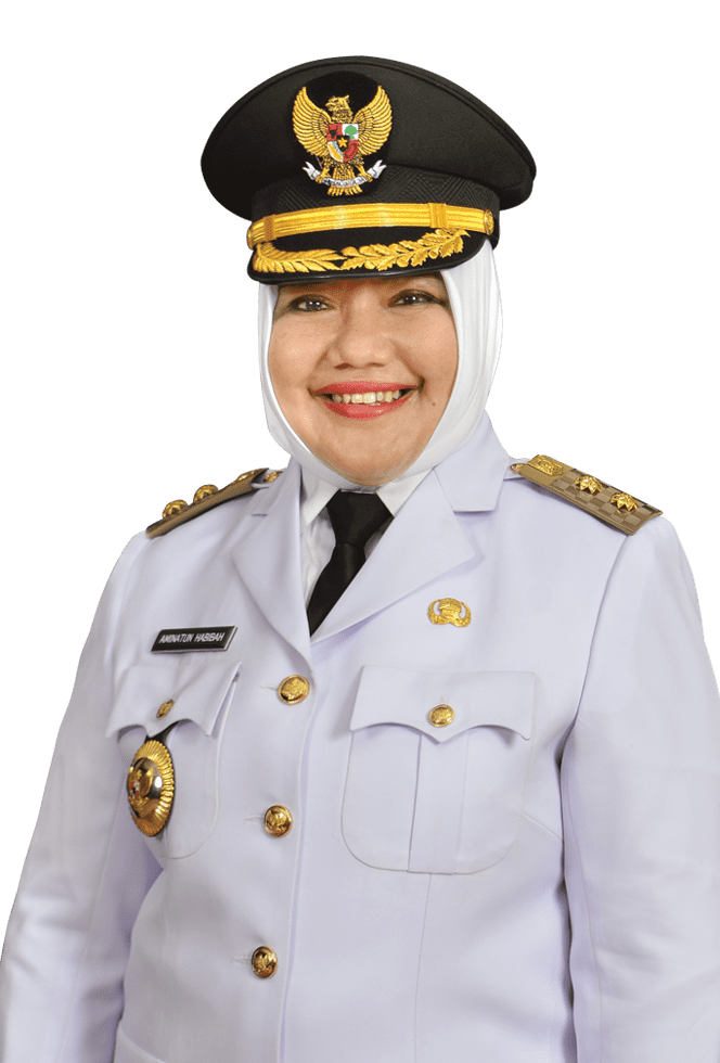 Mengenal Sosok Wakil Bupati Perempuan Pertama Gresik Hj Aminatun Habibah