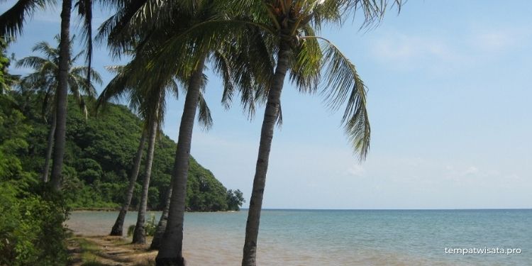Menengok Wisata Pantai Mayangkara di Gresik