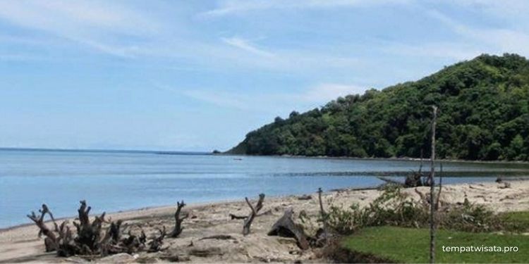Menengok Wisata Pantai Mayangkara di Gresik