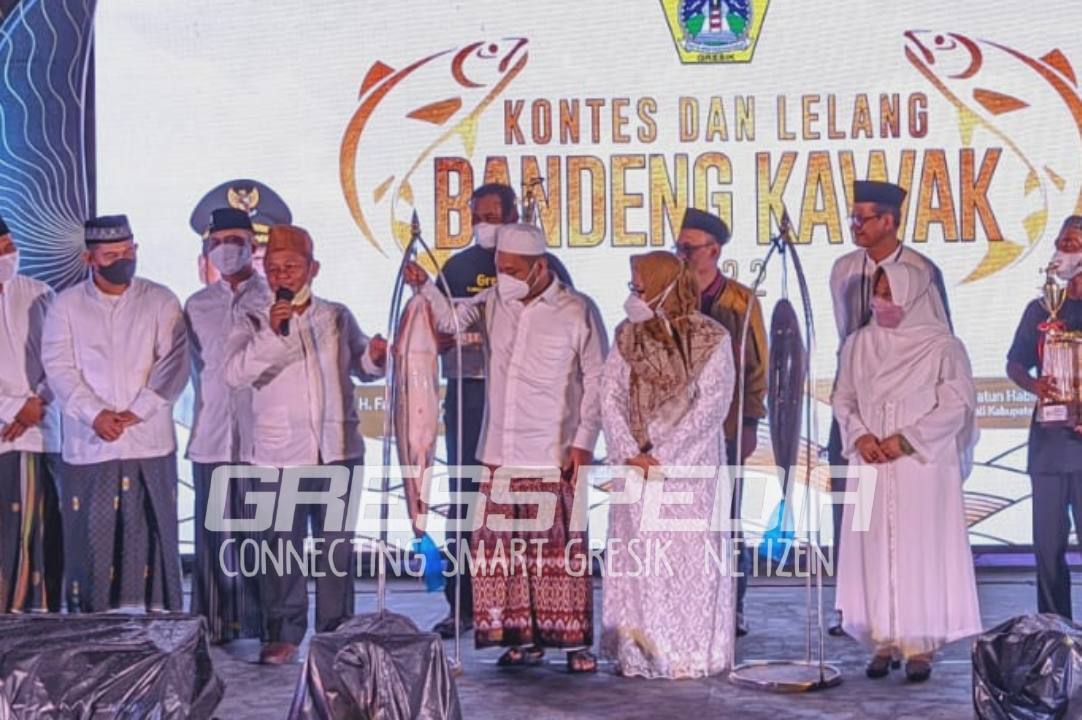 Bandeng 18 Kg Menangkan Kontes Bandeng Kawak Gresik 2022