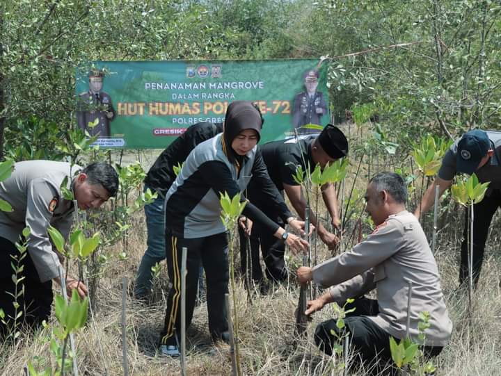 Peringati HUT Humas Polri ke 72, Polres Gresik Gelar Penanaman Mangrove di Kali Mireng