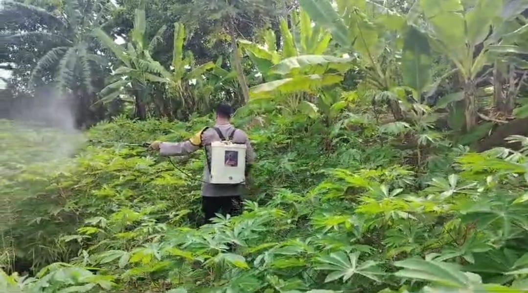 Bhabinkamtibmas Kebon Agung Jadi Garda Depan Ketahanan Pangan, Ajak Warga Manfaatkan Lahan Kosong
