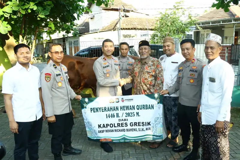 Polres Gresik Salurkan 100 ekor Hewan Kurban di Hari Raya Idul Adha