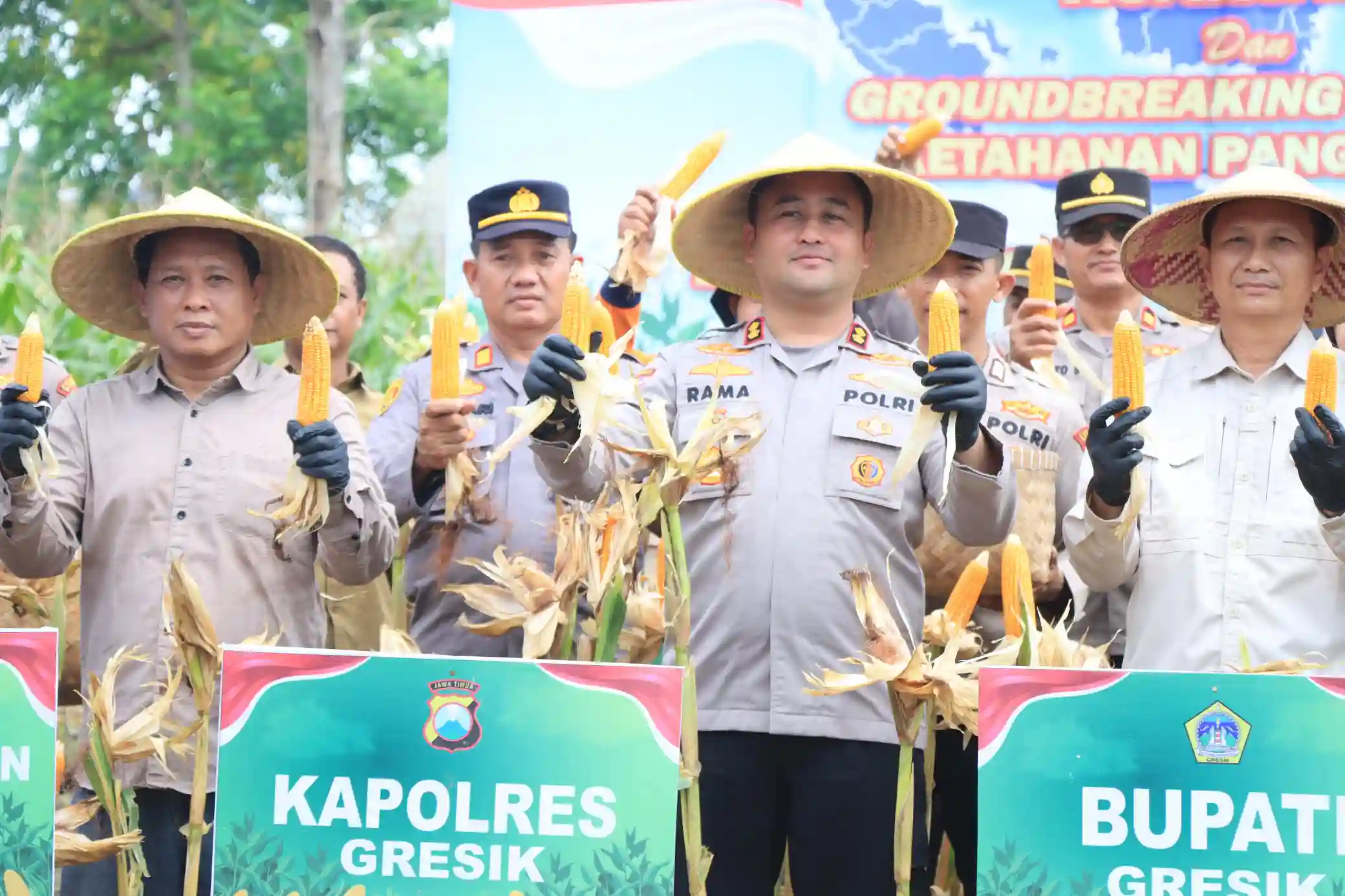 Dukung Ketahanan Pangan Nasional, Polres Gresik Sukses Panen Raya Jagung 80 Ton di Panceng dan Salurkan Bantuan untuk Petani