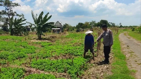 Bhabinkamtibmas Polsek Bungah turut andil Dalam Kegiatan Pertanian di Desa Melirang