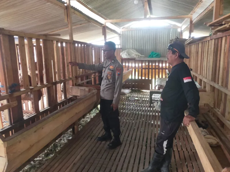 Polsek Manyar Dukung Ketahanan Pangan, Cek Perkembangan Peternakan Kambing di Peganden