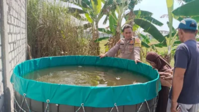 Perkuat Ketahanan Pangan, Polsek Benjeng Lakukan Pengecekan Kolam Lele di Bulurejo