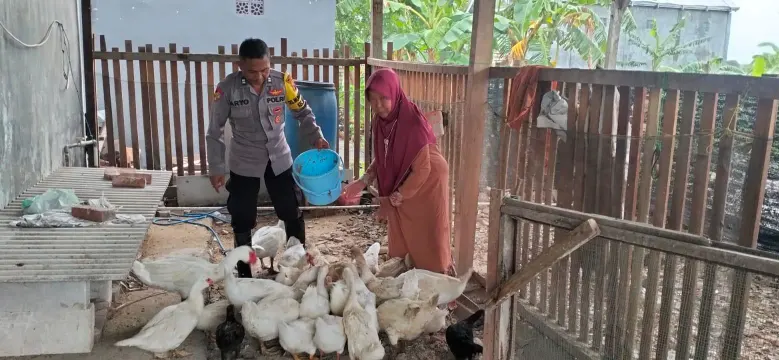 Polsek Benjeng Laksanakan Pemantauan Peternakan Bebek untuk Dukung Program Ketahanan Pangan Nasional