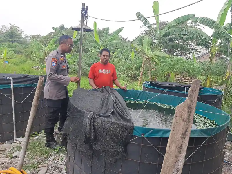 Budidaya Lele di Desa Sekarkurung Dipantau Polsek Kebomas untuk Dukung Ketahanan Pangan