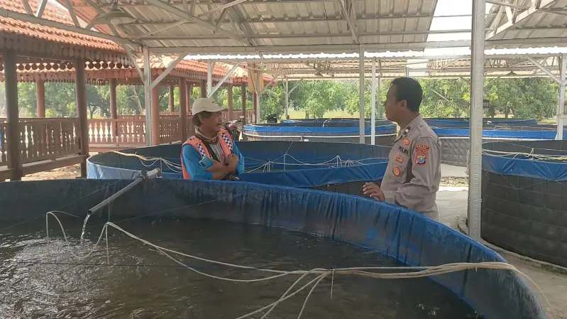 Dukung Swasembada Pangan Presiden RI, Polsek Sidayu Cek Budidaya Lele di Desa Lasem