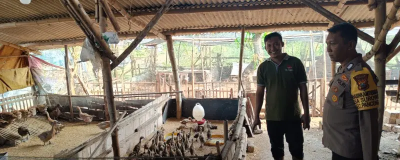 Bhabinkamtibmas Polsek Panceng Pantau Peternakan Bebek Warga untuk Dukung Ketahanan Pangan Nasional