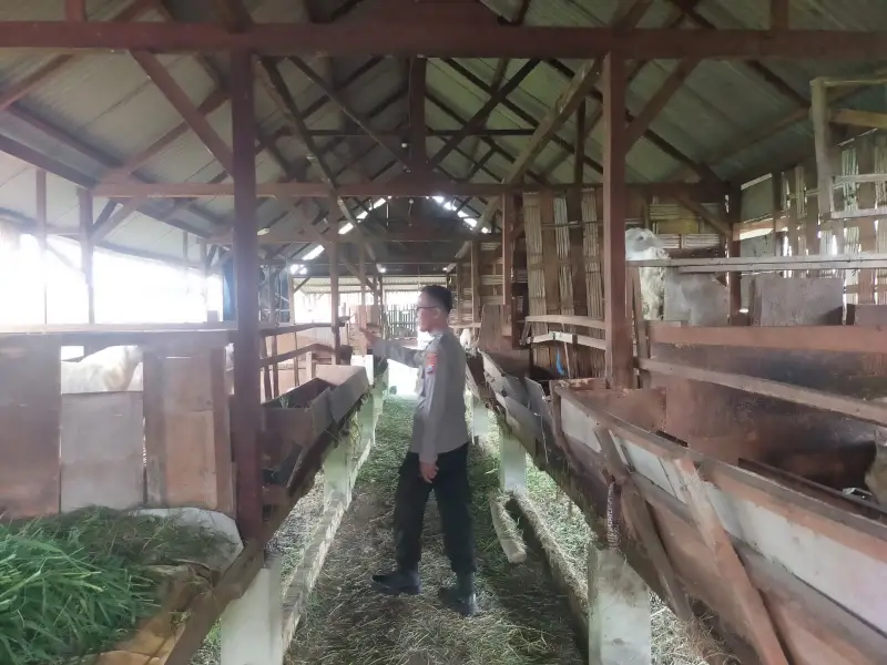 Pengecekan Peternakan Kambing di Desa Peganden, Polsek Manyar Dukung Program Ketahanan Pangan Nasional