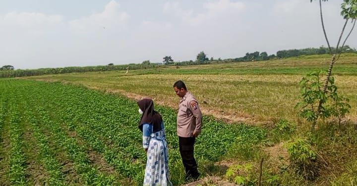 Bhabinkamtibmas Polsek Balongpanggang Laksanakan Pengecekan Tanaman Kangkung Dukung Program Swasembada Pangan