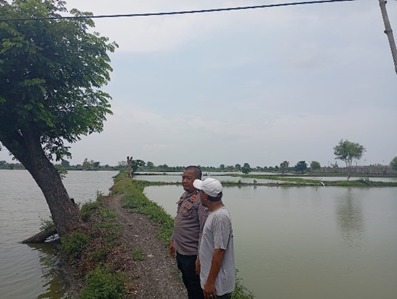 Polsek Duduksampeyan Monitoring Tambak Ikan di Desa Pandanan sebagai Bentuk Dukungan Program Swasembada Pangan Nasional