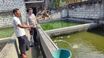 Dukung Ketahanan Pangan Nasional, Polsek Bungah Cek Budidaya Ikan Lele di Desa Indrodelik