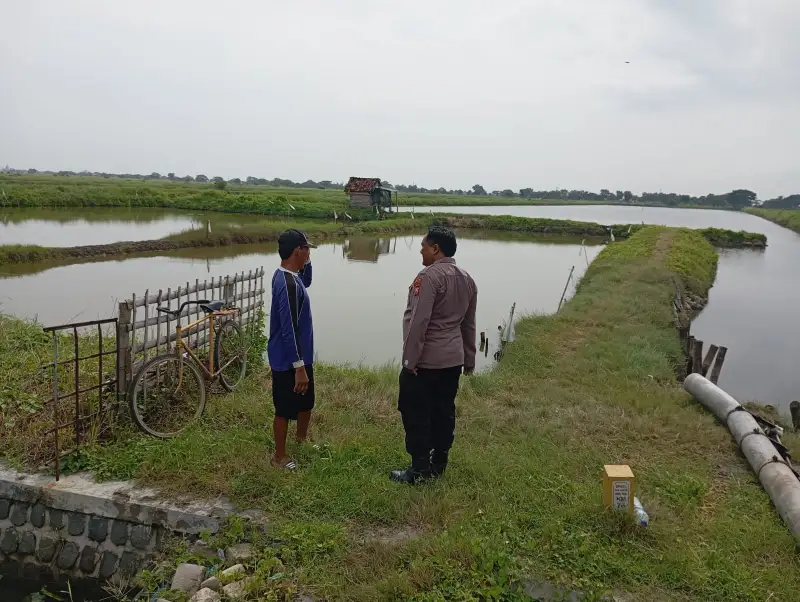 Polsek Duduksampeyan Laksanakan Monitoring Tambak Ikan di Wadak Kidul untuk Dukung Ketahanan Pangan