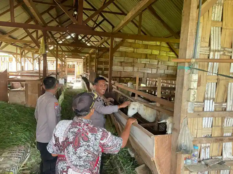 Polsek Manyar Cek Peternakan Kambing di Desa Peganden, Dukung Program Ketahanan Pangan