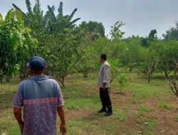 Polsek Dukun Cek Tanaman Jeruk, Dukung Program Ketahanan Pangan di Gresik