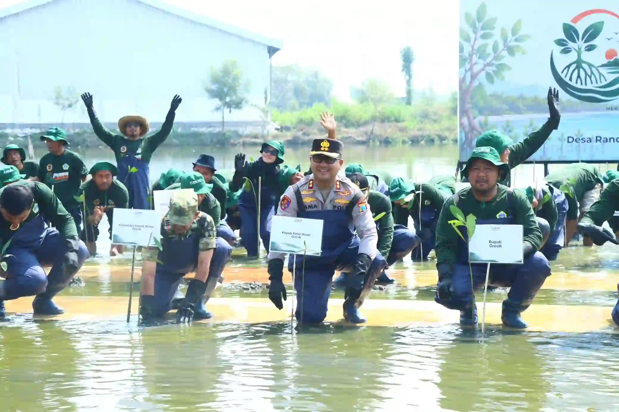 Polres Gresik Bersama Forkopimda dan PT Smelting Tanam 10.000 Mangrove di Randuboto, Jaga Ekosistem Pesisir