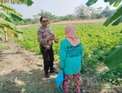 Polres Gresik Perkuat Ketahanan Pangan melalui Pengecekan Tanaman Kangkung di Benjeng