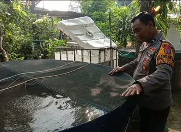 Polres Gresik Cek Budidaya Ikan Lele Dukung Ketahanan Pangan di Desa Petiken