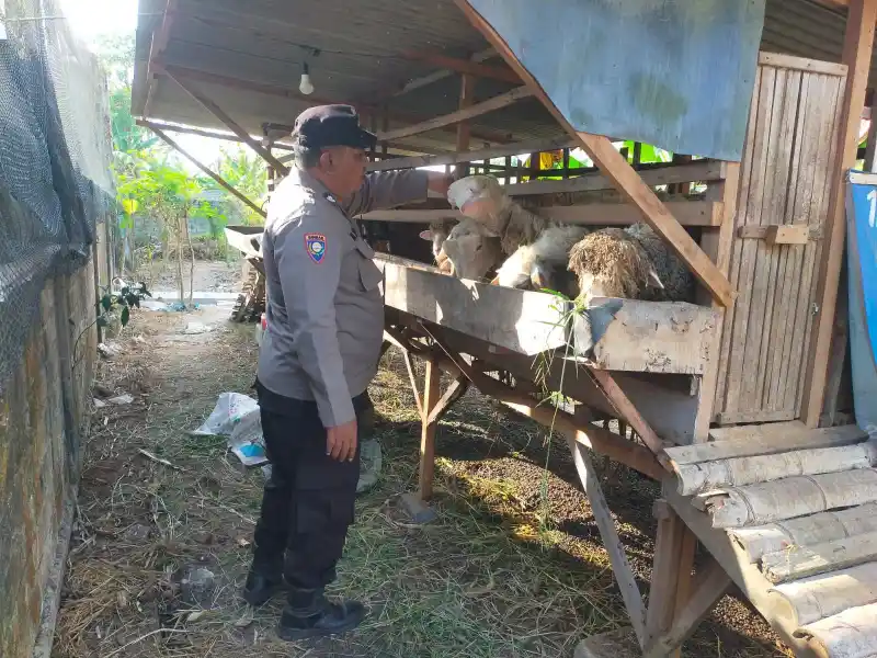 Polsek Dukun Cek Ternak Kambing di Desa Mentaras, Dukung Program Ketahanan Pangan