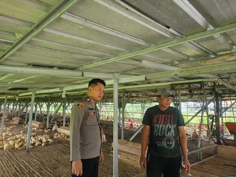 Polsek Cerme Cek Ternak Ayam, Dukung Program Ketahanan Pangan
