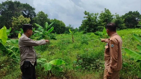 Polsek Bungah Cek Tanaman Pisang dan Singkong, Dukung Program Ketahanan Pangan