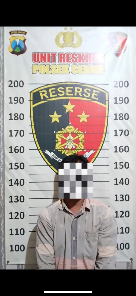 Polsek Cerme Ungkap Pencurian Burung Murai Batu, Pelaku Diduga Beraksi di 4 TKP