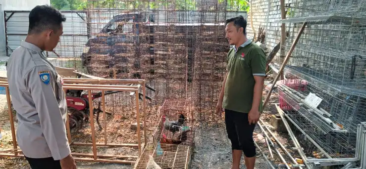 Polsek Panceng Cek Peternakan Ayam Kampung, Dukung Program Ketahanan Pangan