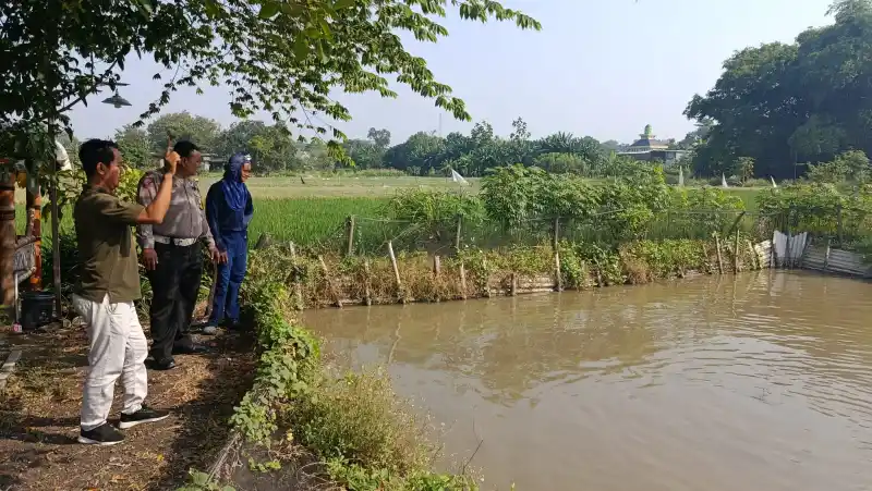 Polsek Driyorejo Cek Budidaya Ikan Nila Dukung Ketahanan Pangan