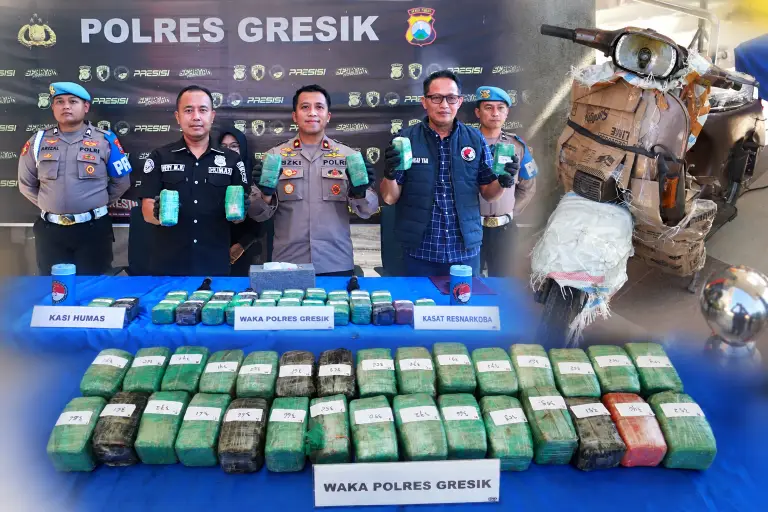 Warga Lapor Lewat 110, Satresnarkoba Polres Gresik Temukan 10,8 Kg Ganja dalam Vespa di Gudang Ekspedisi