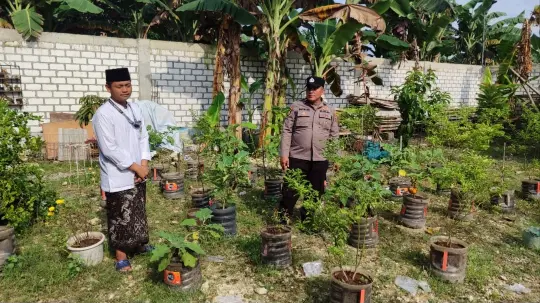 Polsek Bungah Cek Tanaman Lombok di Desa Masangan, Dukung Program Ketahanan Pangan
