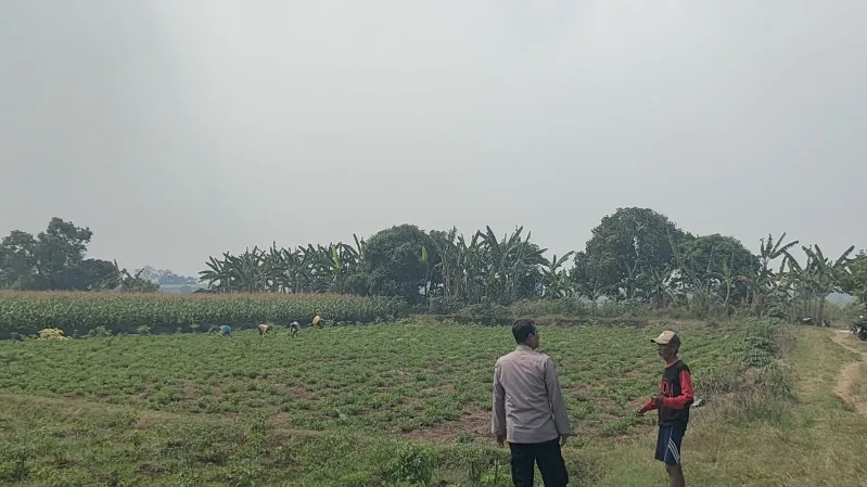 Polsek Sidayu Cek Tanaman Cabai di Desa Wadeng, Dukung Program Ketahanan Pangan