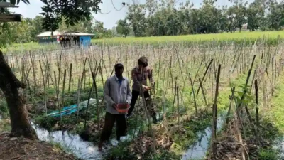 Polsek Sidayu Cek Tanaman Melon di Desa Lasem untuk Dukung Ketahanan Pangan