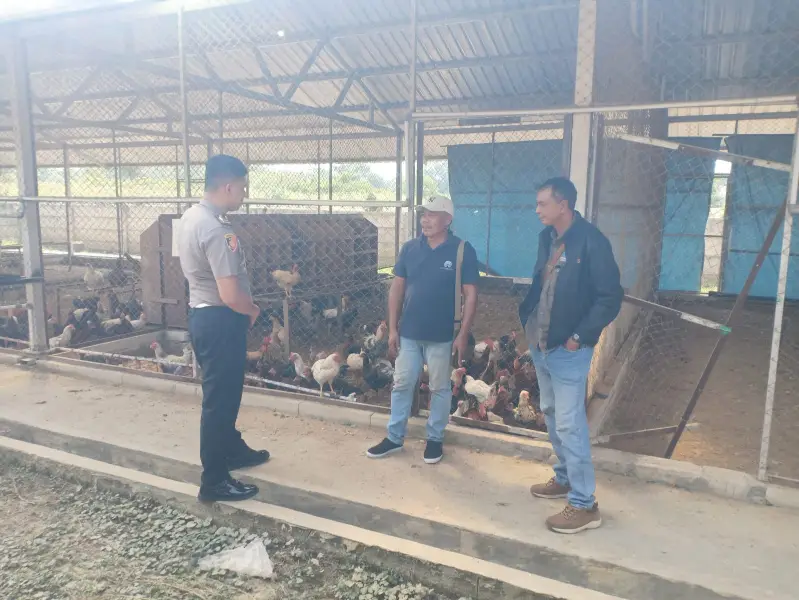 Polsek Kedamean Laksanakan Pengecekan Peternakan Ayam di Desa Sidoraharjo Dukung Ketahanan Pangan