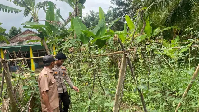 Polres Gresik Laksanakan Pengecekan Tanaman Kacang Panjang di Desa Lebak, Sangkapura