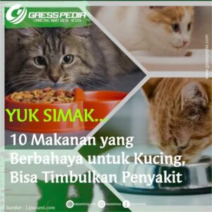10 Makanan yang Berbahaya untuk Kucing, Bisa Timbulkan Penyakit