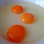 Apakah Warna Kuning Telur Pucat dan Oranye Beda Nutrisinya?