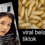 Heboh Netizen Perkara Video Belatung Yang lagi Viral
