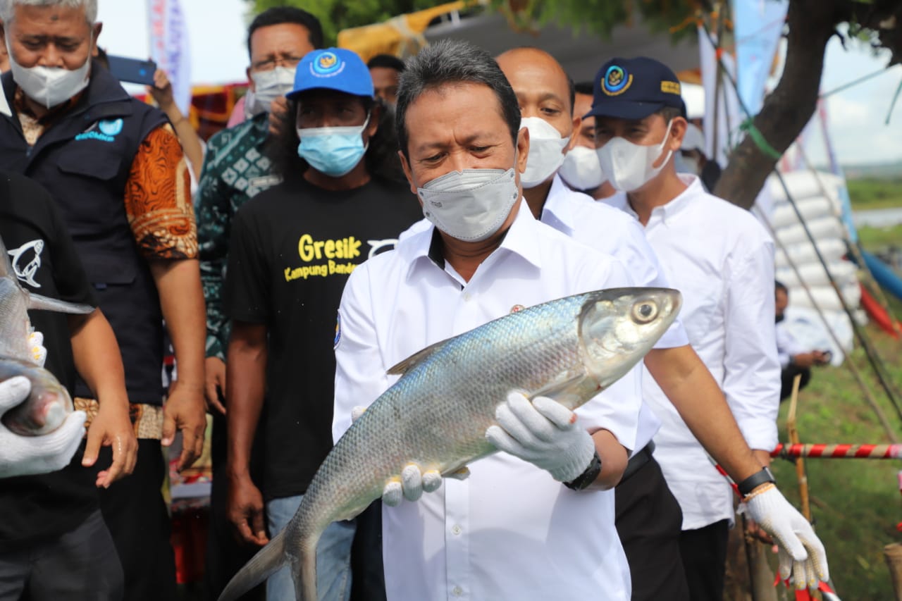 Menteri KKP Trenggono Kunjungi Kampung Budidaya Bandeng Pangkah Wetan