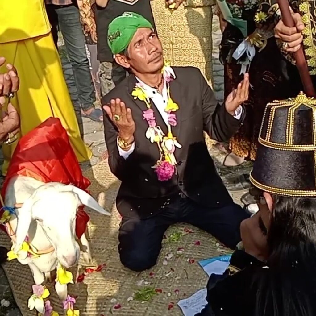 Viral Ritual Manusia Menikah Dengan Kambing di Gresik