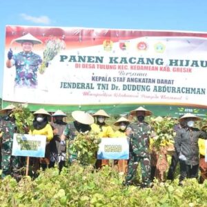 Panen Kacang Hijau KASAD Bersama Petani Desa Tulung Kedamean Kabupaten Gresik