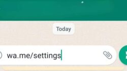 Viral Jangan Ketik Link WA Me Settings Bikin WhatsApp Error, Gini Cara Mengatasinya