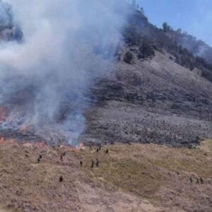 Polisi Limpahkan Berkas Tersangka Kebakaran Taman Nasional Bromo Tengger Semeru ke Kejaksaan Negeri Probolinggo