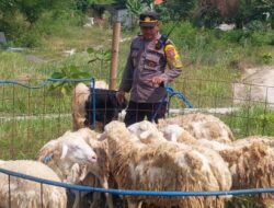 Berdayakan Anak Muda Sekitar, Kapolsek Gresik Kota Jualan Hewan Kurban