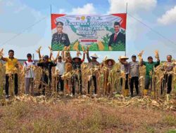 Panen Raya Jagung di Desa Karangandong: Wujud Nyata Sinergi untuk Ketahanan Pangan di Gresik