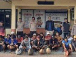 Polsek Ujungpangkah Gerebek Lokasi Judi Sabung Ayam, 17 Orang Diamankan