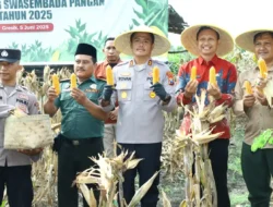 Kapolres Gresik Ikut Panen Raya Jagung, Dukung Swasembada Pangan 2025